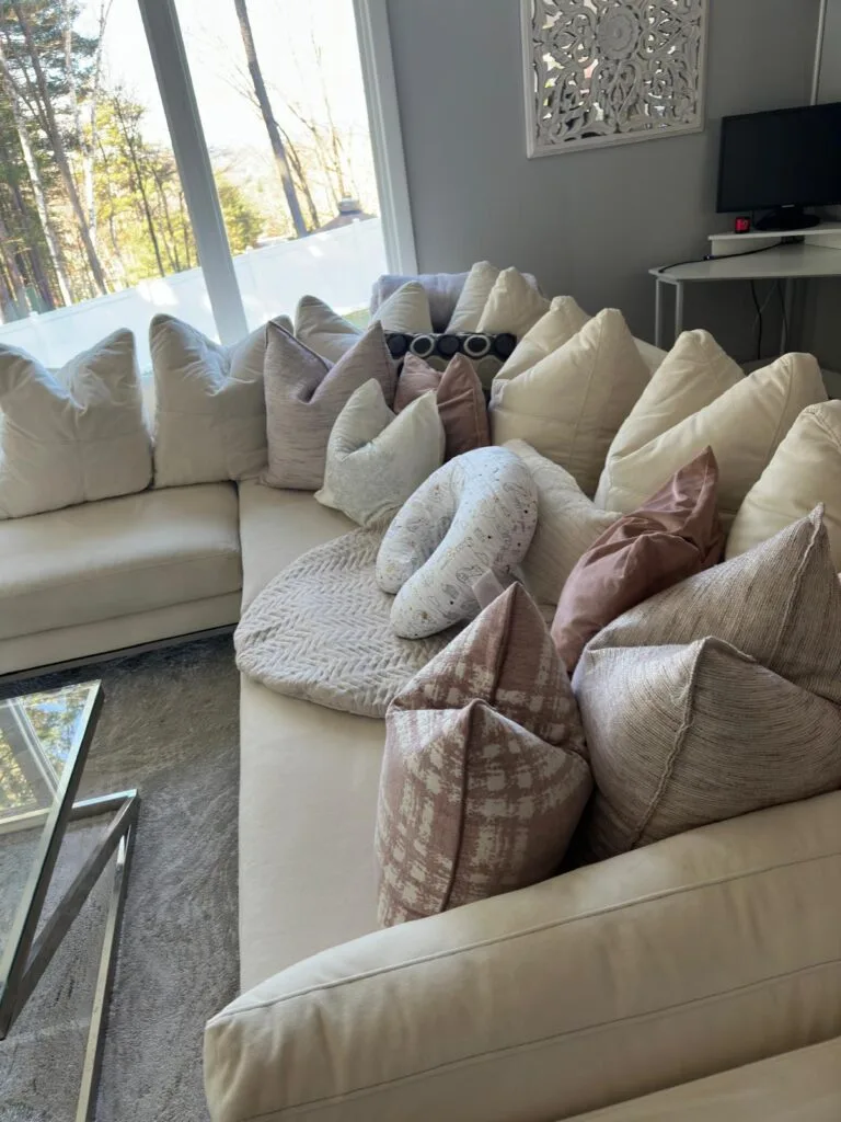 professional house cleaning service