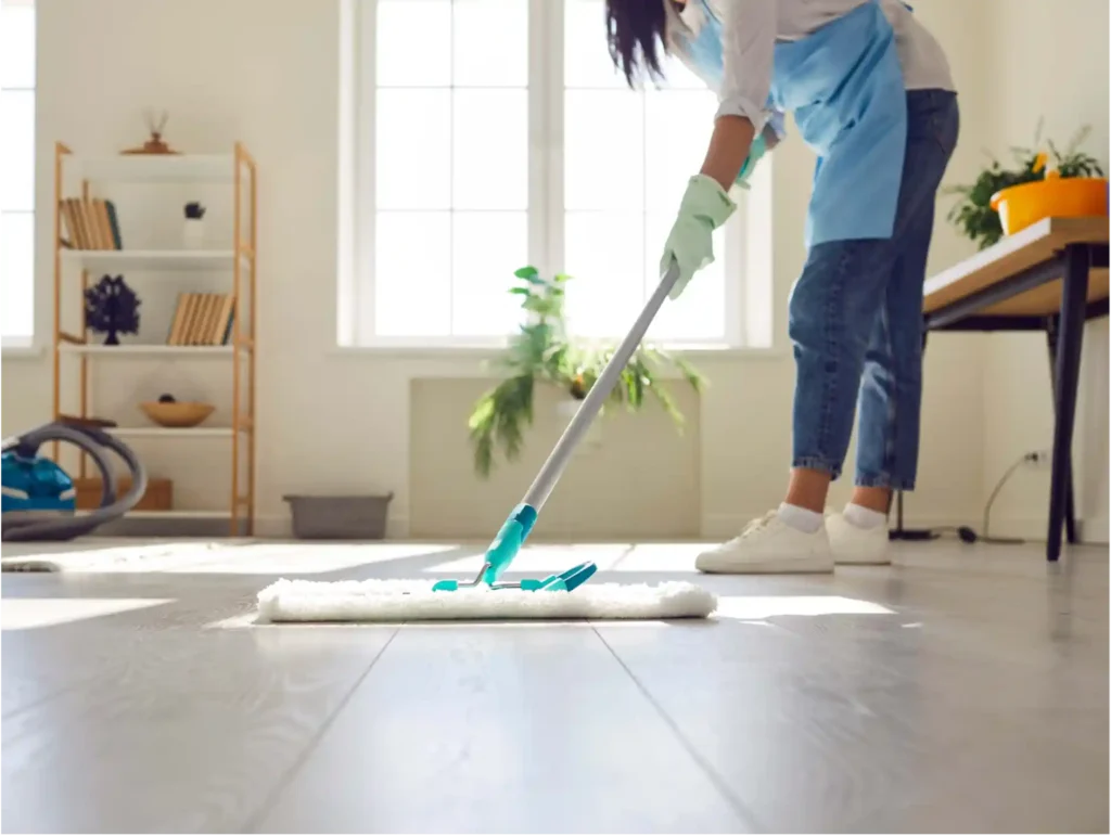 House Cleaning Services Georgetown